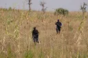 ‘Yanbindiga sun kashe mutum 10, sun sace 40 a wani ƙauyen Sokoto