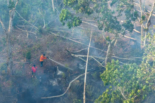 BNPB catat 1.730 bencana di Indonesia, 627 kasus karhutla terjadi