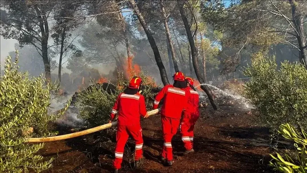Shqipëri  11 vatra zjarri mbeten aktive