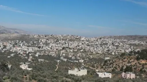 Njëmbëdhjetë vende evropiane dhe Kanadaja kufizojnë tregtinë me vendbanimet e paligjshme izraelite