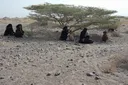 قوات الحكومة اليمنية تعلن أسر قيادي حوثي.. والأمم المتحدة: نزوح 18 ألفاً و500 شخص جراء القتال
