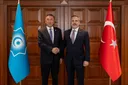 Турция готовит саммит Организации тюркских государств