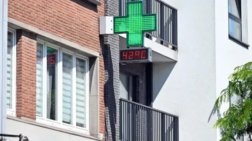 Belgjikë, vala e të nxehtit shkaktoi vdekshmërinë më të lartë që nga viti 2.000