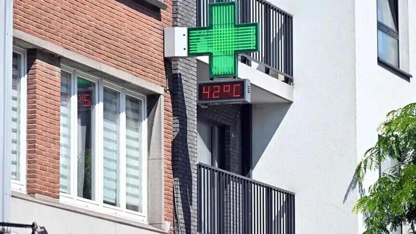 Belgjikë, vala e të nxehtit shkaktoi vdekshmërinë më të lartë që nga viti 2.000