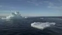 НАТО сорвало российскую операцию в Арктике
