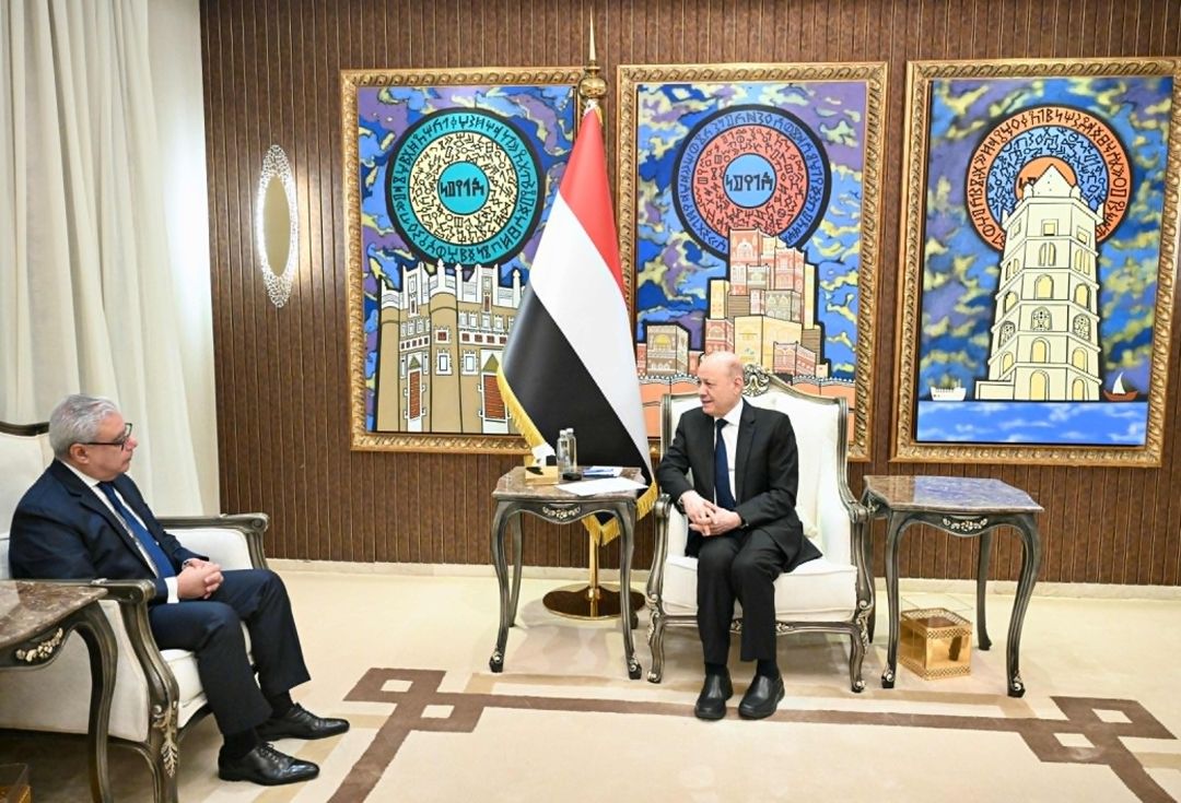 العليمي يؤكد أن استعادة الساحل اليمني مصلحة مصرية وعربية.. والحوثيون: الملاحة الدولية آمنة
