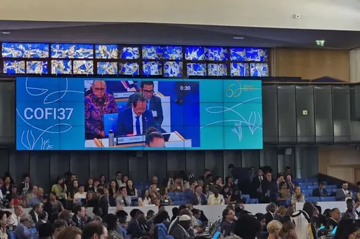 Indonesia dorong penguatan nelayan kecil di forum FAO di Roma