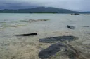 At least one dead, more than 30 missing after ferry sinks off Vanuatu