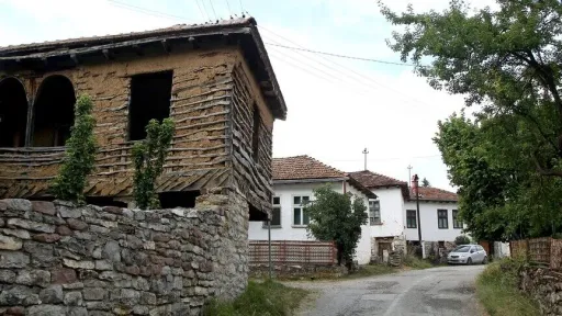 Srbija proširila subvencije za seoske kuće i na majke novorođene djece