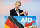 AfD-Chefin Weidel fordert Rückkehr von Ukrainern und Syrern