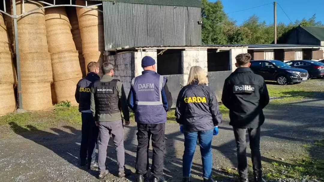 Door Europol gesteunde operatie richt zich op verdacht netwerk van paardenhandel in Europa