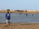 More than 104,000 displaced in Yemen as West Coast fighting continues