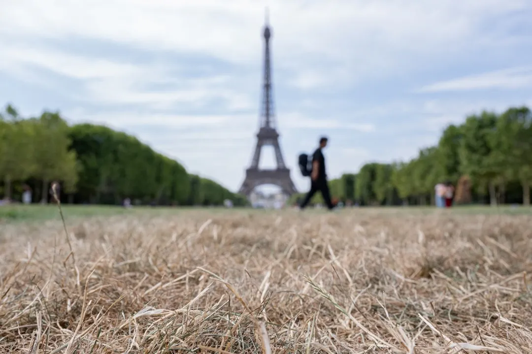 Les canicules ont fait 8 000 morts en France