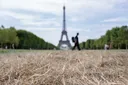 Les canicules ont fait 8 000 morts en France