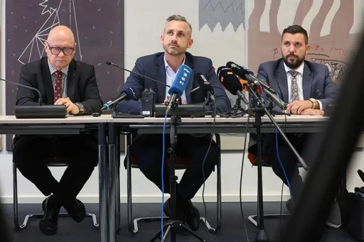 AfD will FPÖ-Erfahrungen in Sachsen-Anhalt nutzen