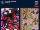 Фестиваль «Культурный путь Турции» дошел до Анкары