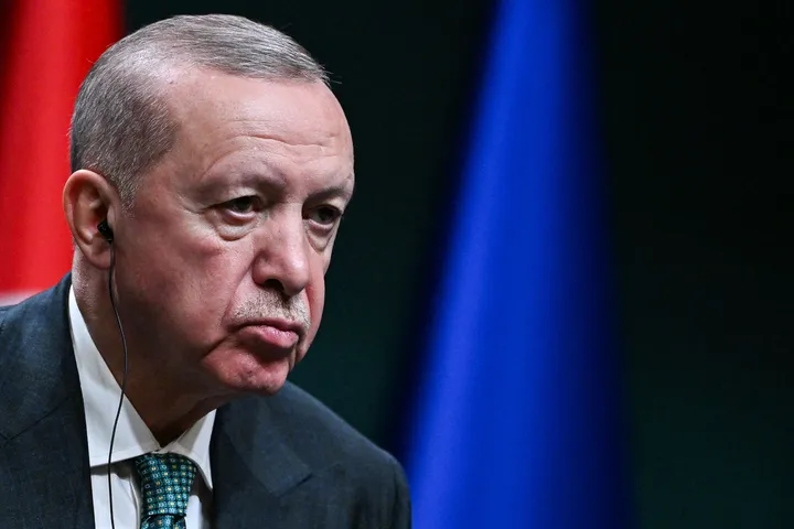 Erdogan calls for UN Security Council reform, urges abolition of veto power