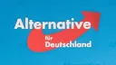 AfD e Gjermanisë bën thirrje për qasje "të ndryshme" për t'i dhënë fund luftës Rusi-Ukrainë