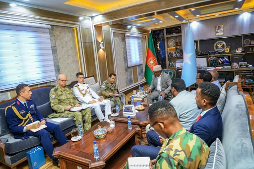 Wasiirka Gaashaandhigga Fiqi oo Qaabilay Taliyaha TURKSOM iyo Wafdi Milatari oo Turki ah