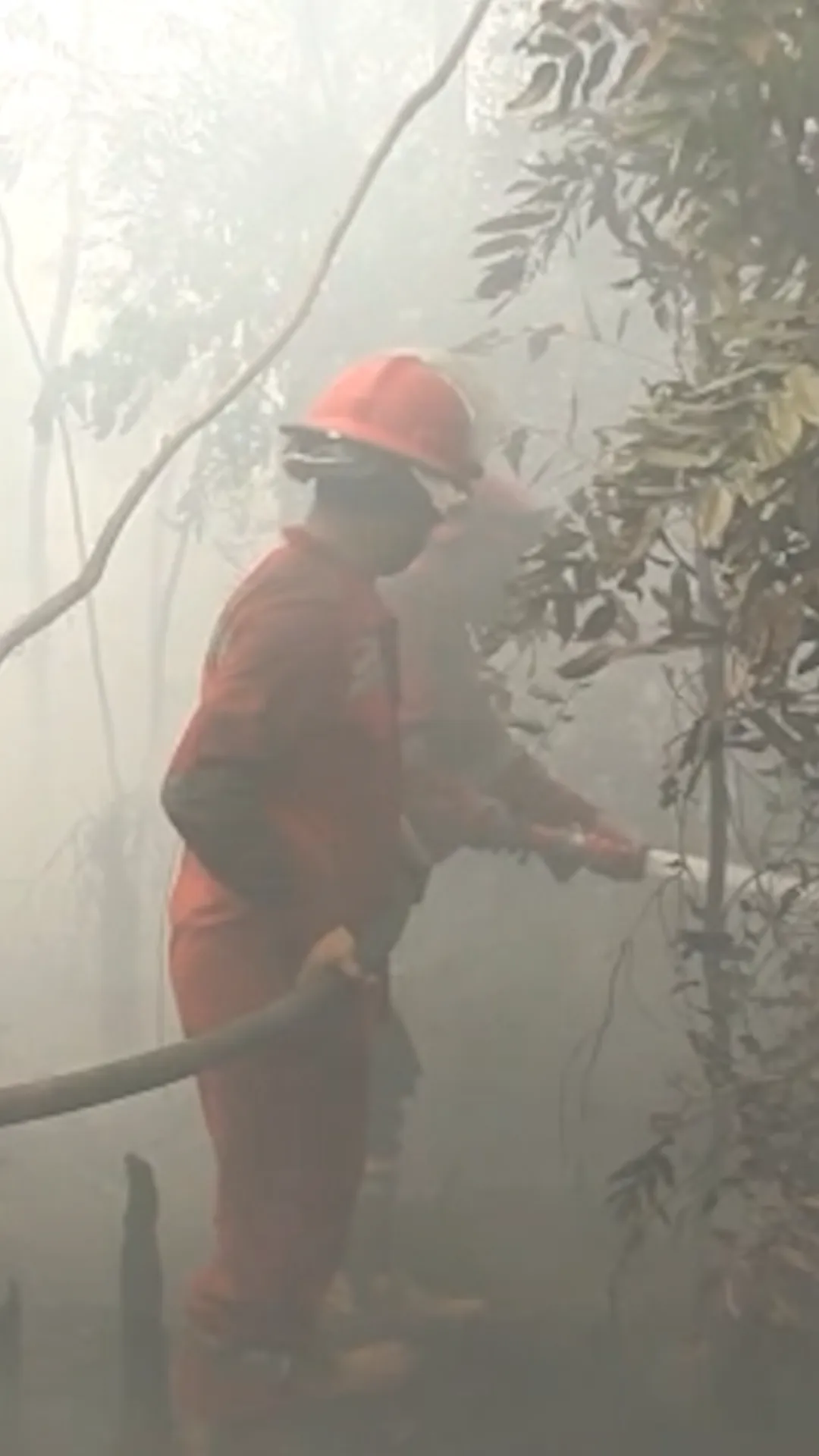 Petugas padamkan kebakaran hutan di Palembang, pemerintah kerahkan 50 pesawat