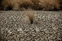 El Nino poses growing global health threat as temperatures rise: UN