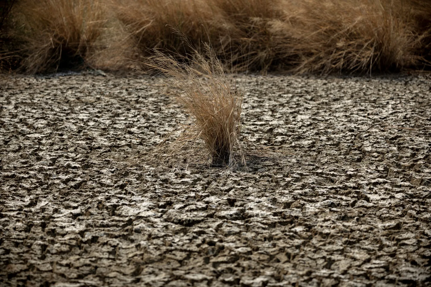 El Nino poses growing global health threat as temperatures rise: UN