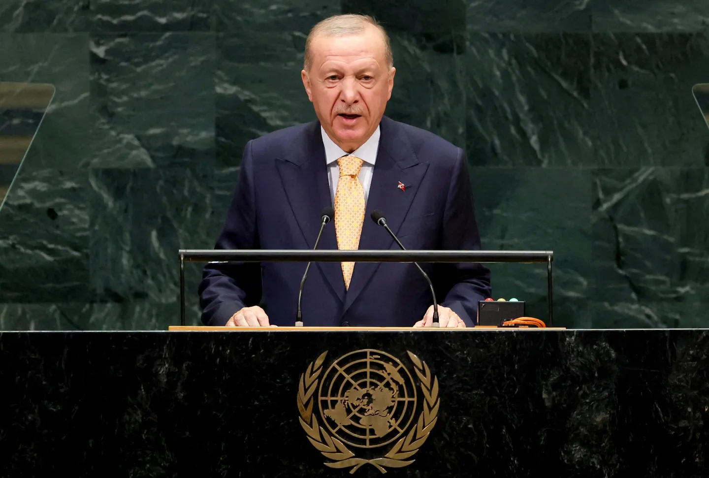 Turkiyya za ta ci gaba da magana kan Falasɗinawa: Erdogan