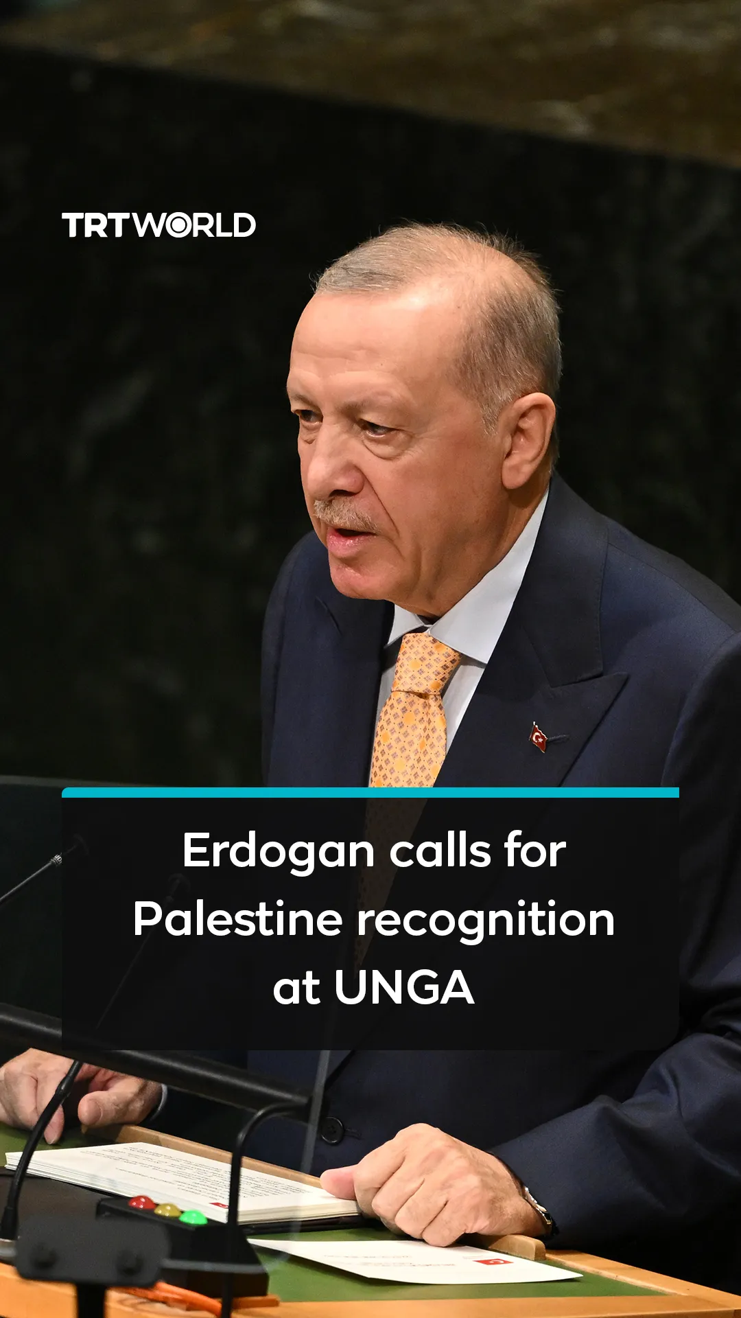 Türkiye's President Recep Tayyip Erdogan calls on countries to recognise Palestine at UNGA