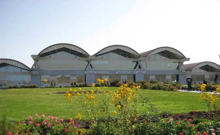 Tigray rebel forces 'seize' Ethiopia regional airport: sources
