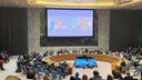 'Real and imminent' risks – UNSC hosts 'one of Godfathers of AI', tech bosses in high-level briefing