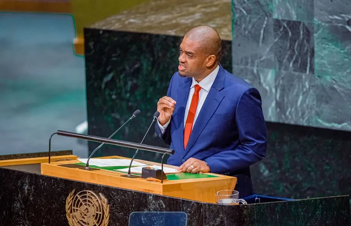 Tanzania formally announces bid for a 2029–2030 non-permanent UN Security Council seat