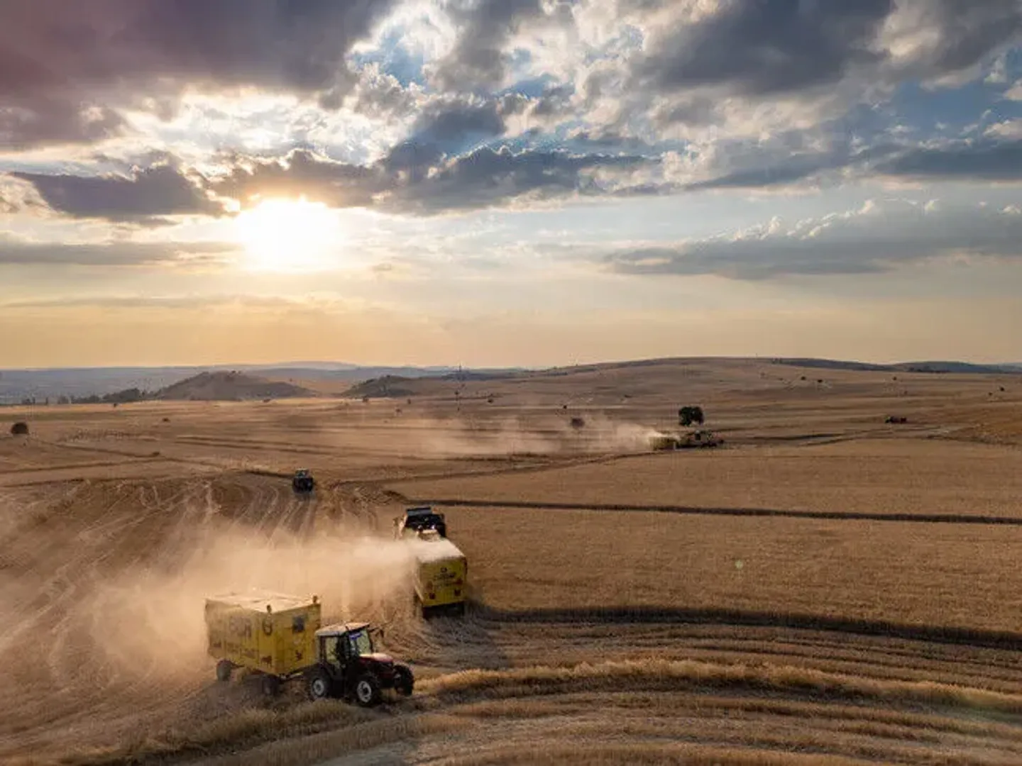 Banka Botërore do të ofrojë 750 milionë dollarë për të mbështetur sektorin agro-ushqimor të Türkiyes