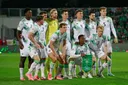 Ирландия сыграет с Израилем после голосования игроков