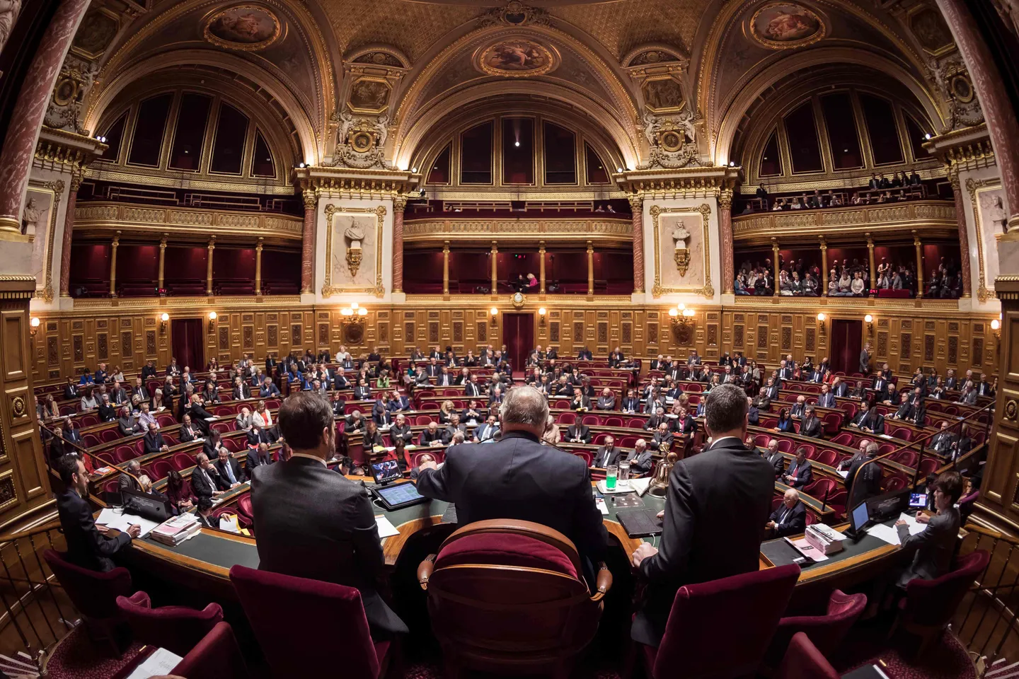 Autonomie de la Corse: le Sénat torpille la réforme constitutionnelle