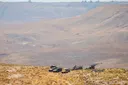 Israeli forces raid homes, establish checkpoint in southern Syria