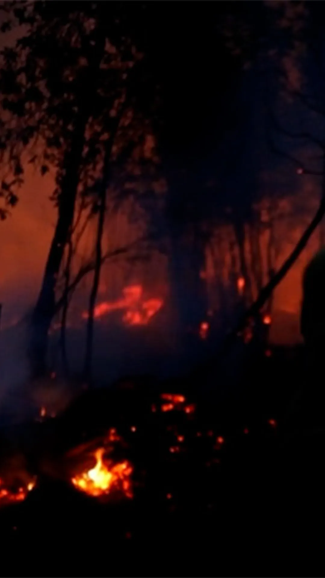Warga dan petugas pemadam berjibaku atasi kebakaran hutan di Palembang