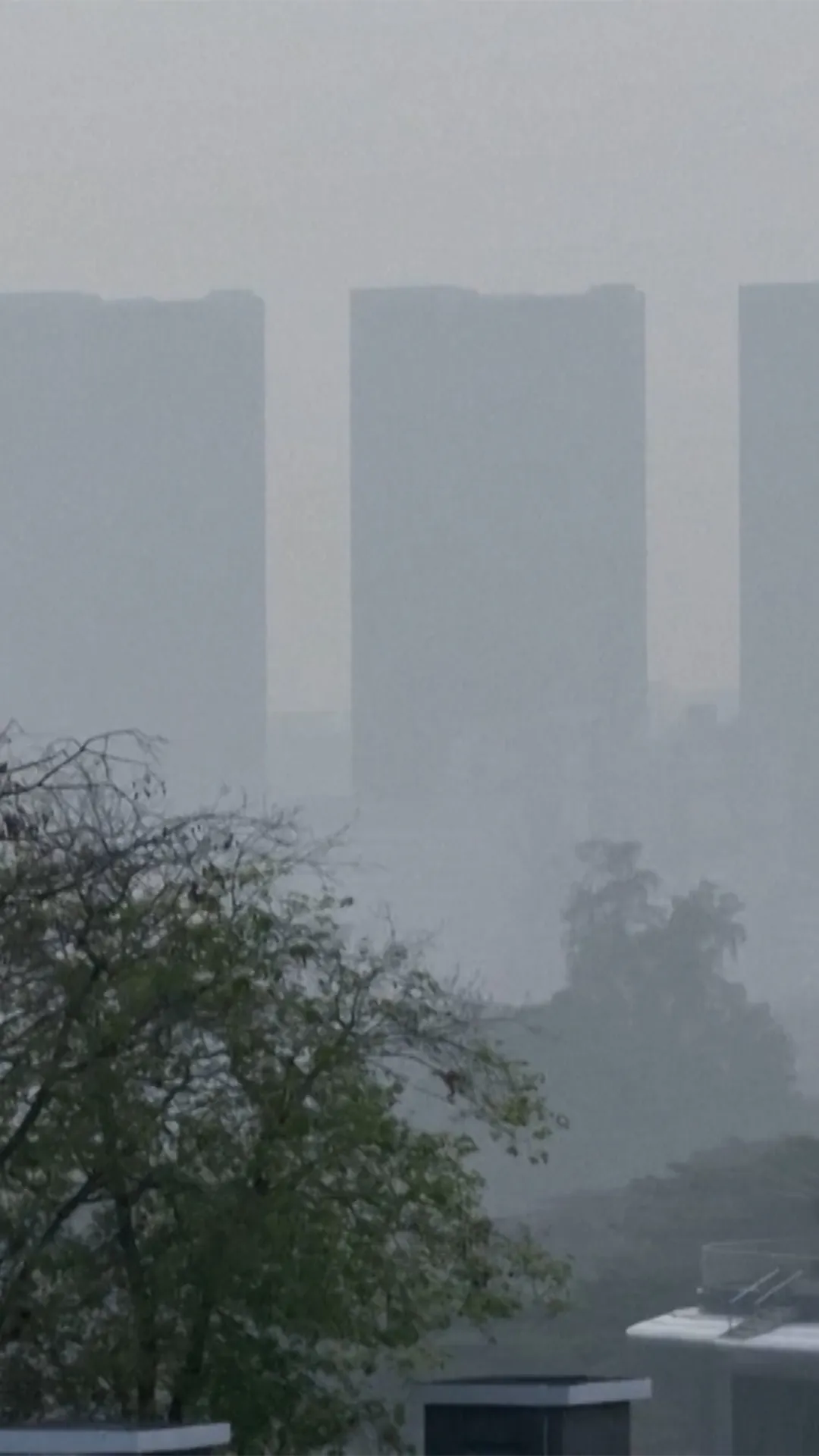 Kebakaran hutan Indonesia picu kabut asap, kualitas udara Singapura memburuk