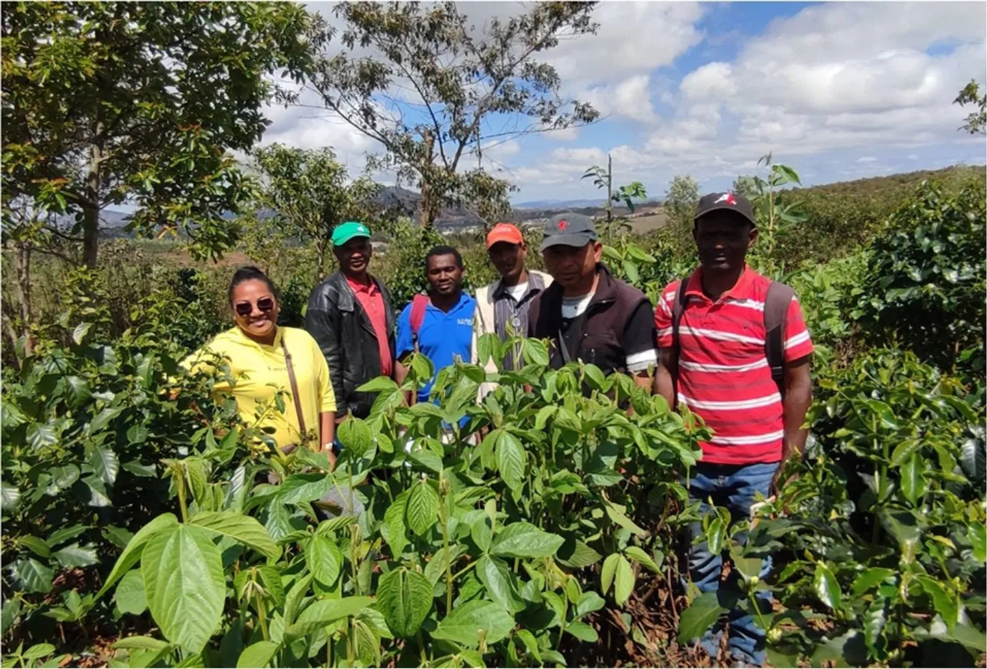 Comment Madagascar s'appuie sur la biotechnologie pour redonner vie à sa filière café ?