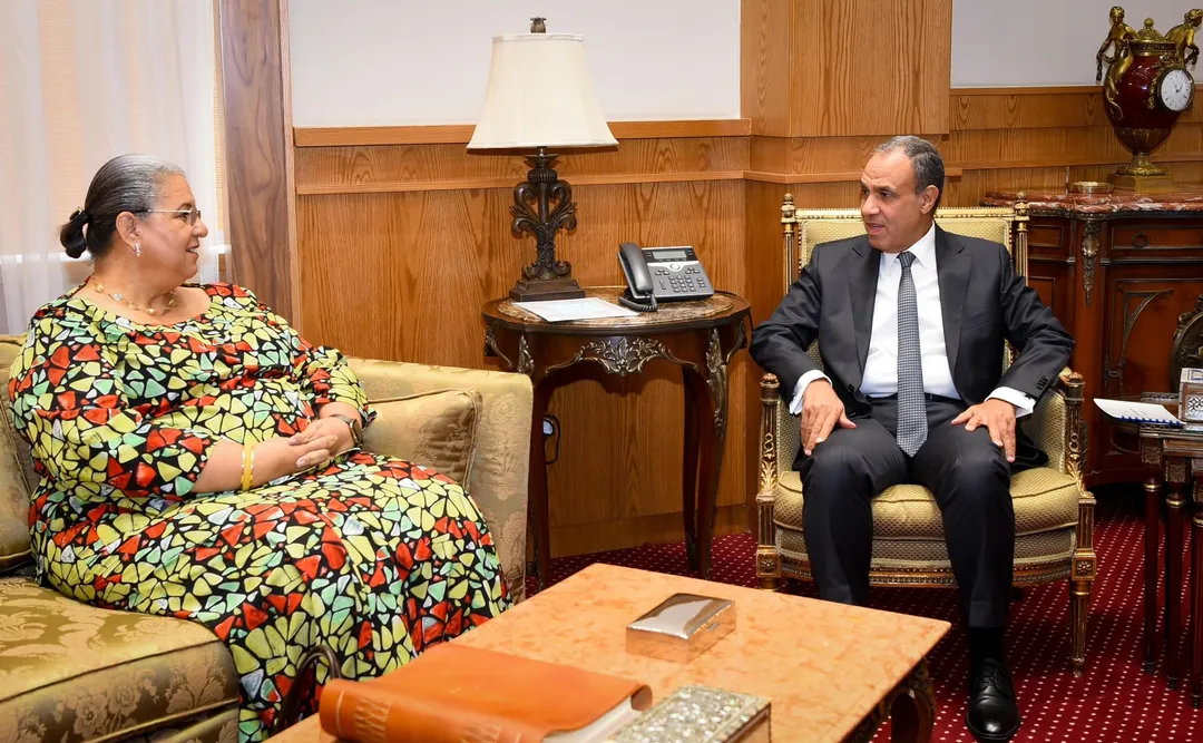 Egypt, UN envoy discuss Libya's political roadmap, elections