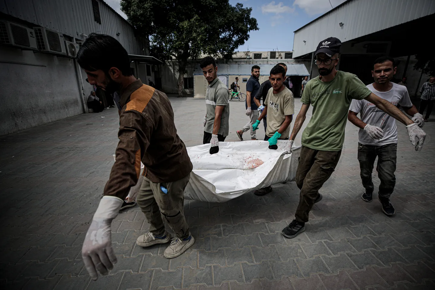Journalist Muhammad al-Najjar killed in Gaza as Israeli strikes kill eight Palestinians