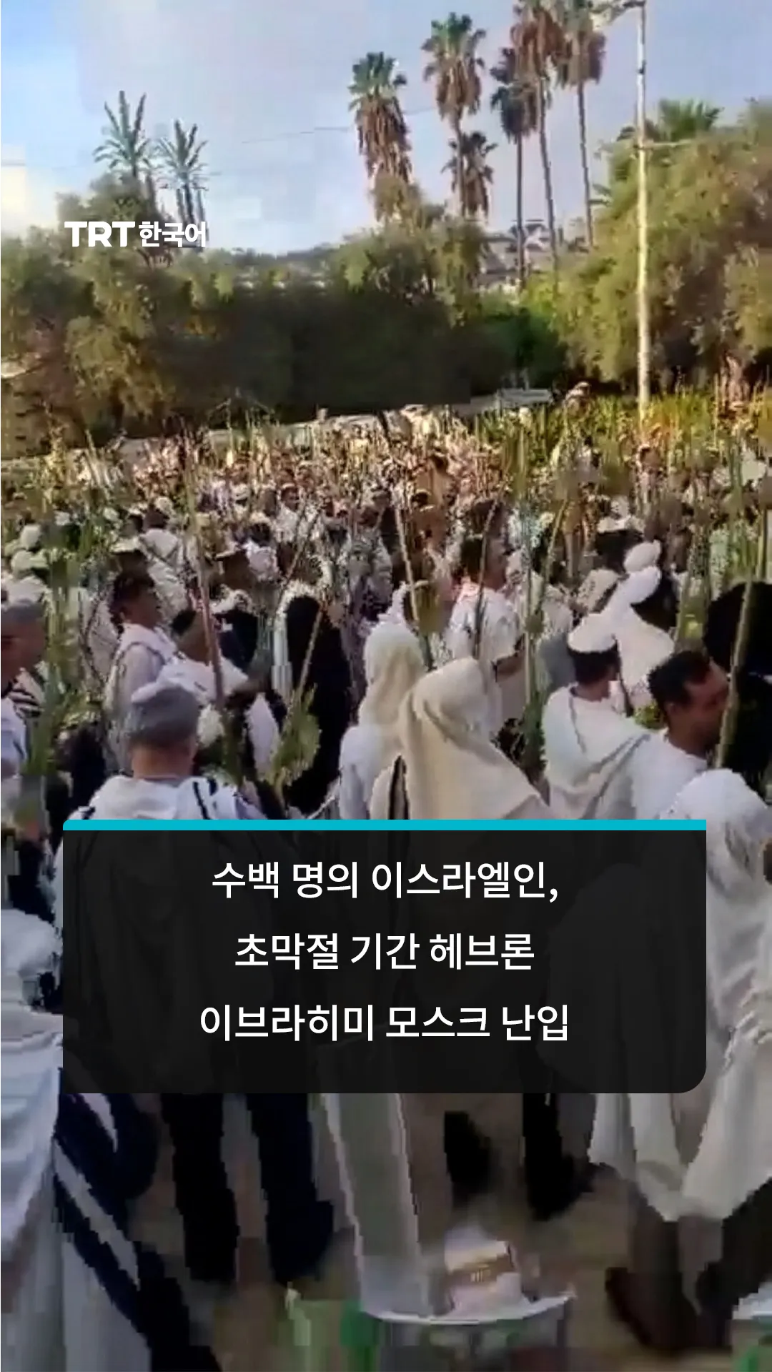 수백 명의 이스라엘인, 초막절 기간 헤브론 이브라히미 모스크 난입
