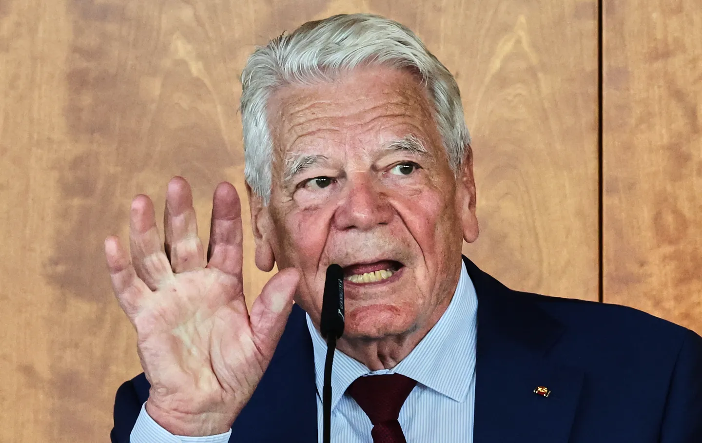 Gauck: Merz' Rücktritt wäre „total schädlich“