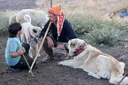 Чичкото со големи мустаќи ја одржува жива анадолската култура и традиција на Јуруците