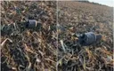 В воздушное пространство Молдовы залетели пять БПЛА