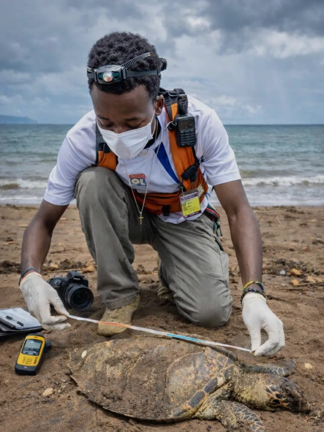 Dieuveut Ahadi, un Congolais passionné de tortues à Mayotte