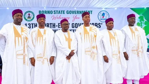 Gwamnonin Arewa maso-gabashin Nijeria sun yi shelar kafa kamfanin jiragen sama na yanki