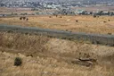 "خرق فاضح".. سوريا ودول عربية تدين الحفر الإسرائيلي قرب خط الفصل مع الجولان المحتل