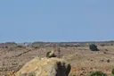 La Türkiye condamne les actions d'Israël dans le Golan syrien