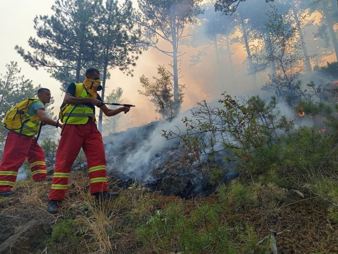 Shqipëri  rrezik i moderuar për zjarre në dhjetë qarqe