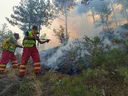 Shqipëri, rrezik i moderuar për zjarre në dhjetë qarqe